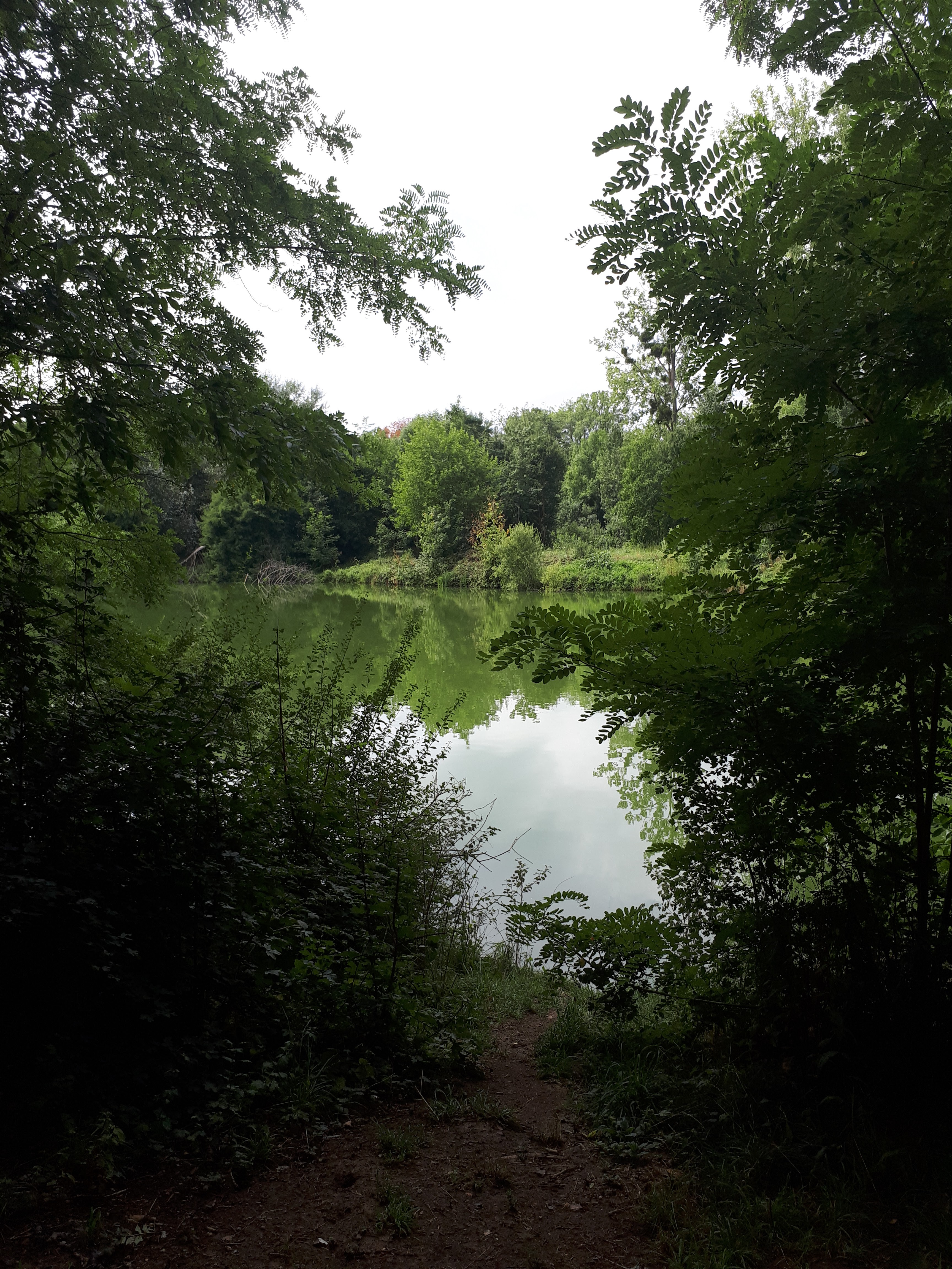 Photo n° 1 de l'avis de John.x fait le 16/08/2017 à 12:49