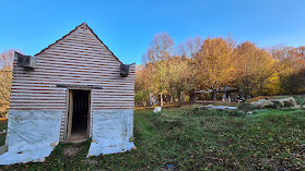 Scoala De Arhitectura Bunesti