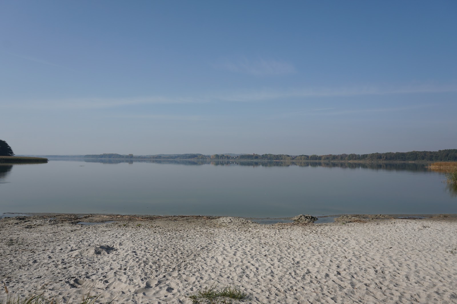 Hundestrand Dahmen'in fotoğrafı düz bir kıyı şeridi ile birlikte