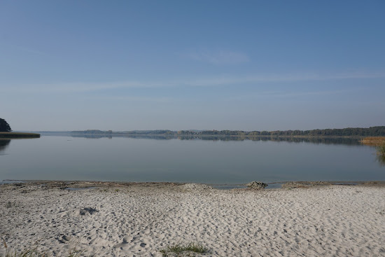 Hundestrand Dahmen