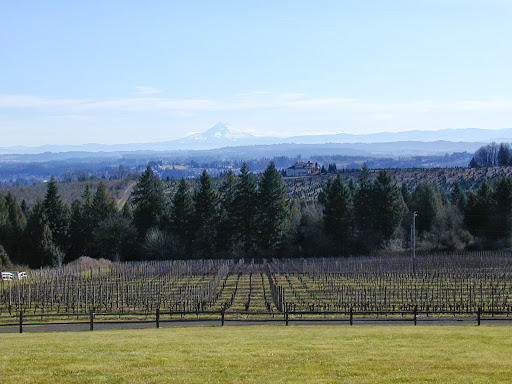 Winery «Blakeslee Vineyard Estate», reviews and photos, 20875 SW Chapman Rd, Sherwood, OR 97140, USA