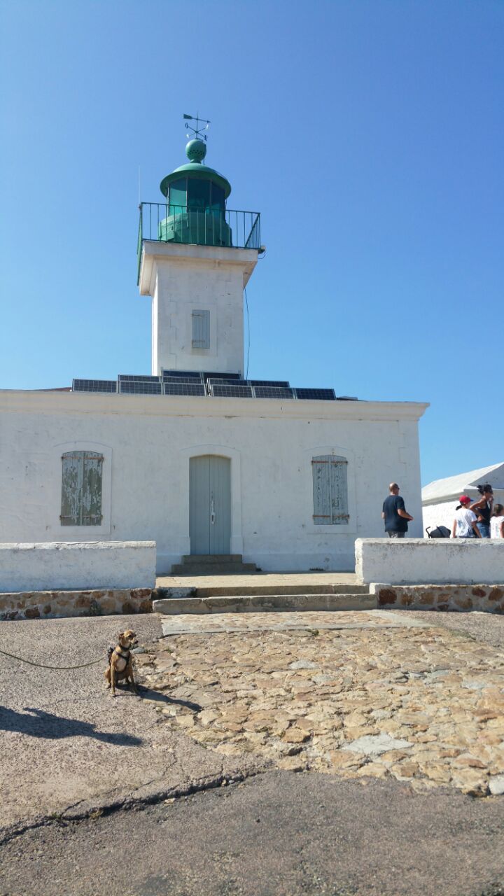 Photo n° 4 de l'avis de Mona.r fait le 25/07/2017 à 19:23