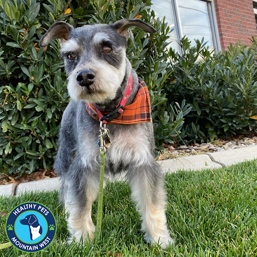 Pet Store «Healthy Pets Mountain West», reviews and photos, 2352 Fort Union Blvd, Cottonwood Heights, UT 84121, USA