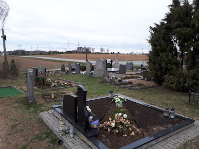 Griškonių kaimo kapinės