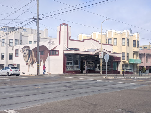 Pet Supply Store «The Animal Connection», reviews and photos, 2550 2550 Judah St & 31st Ave, San Francisco, CA 94122, USA