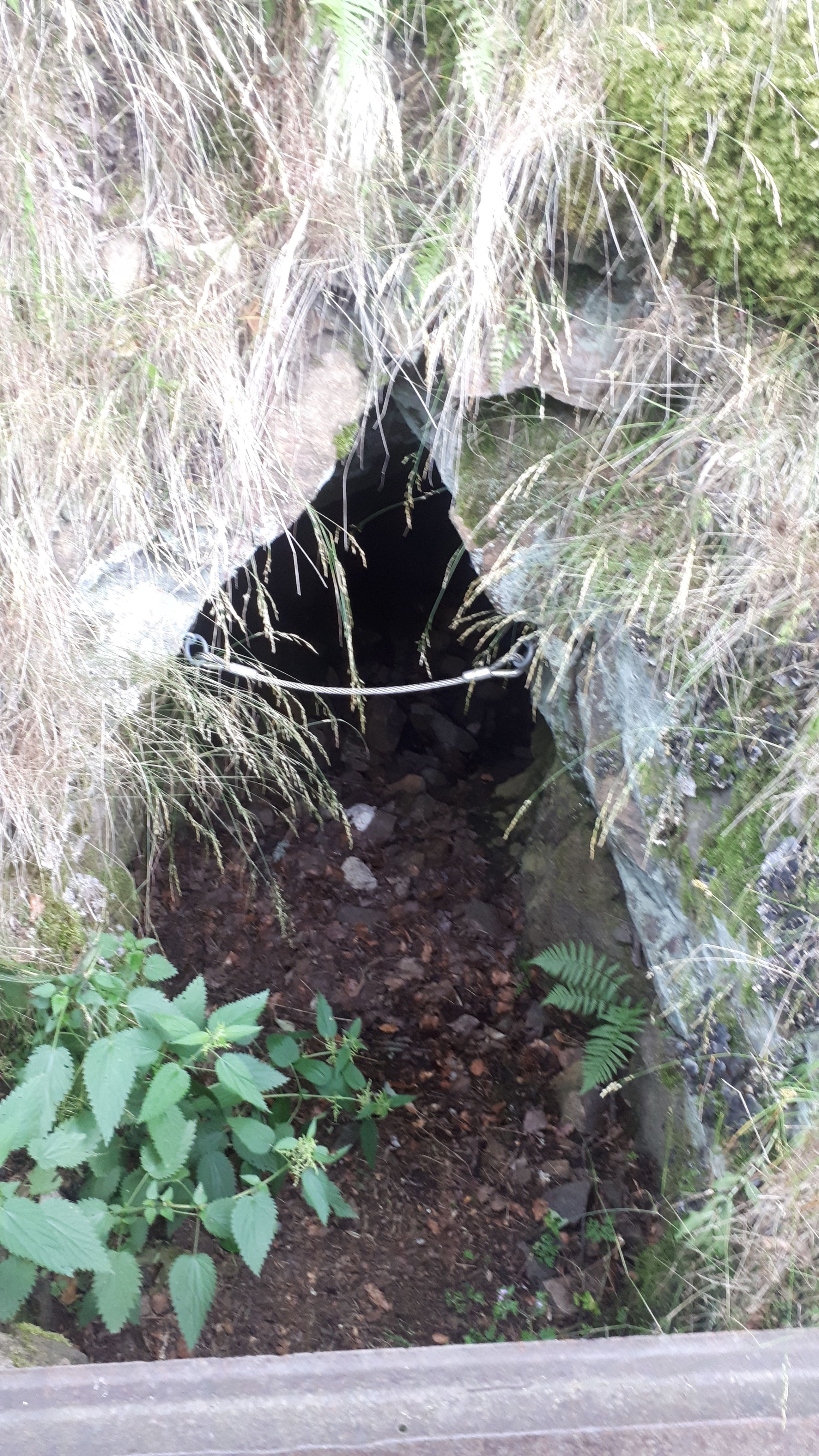 Photo n° 1 de l'avis de ROBAN.l fait le 24/07/2019 à 07:28