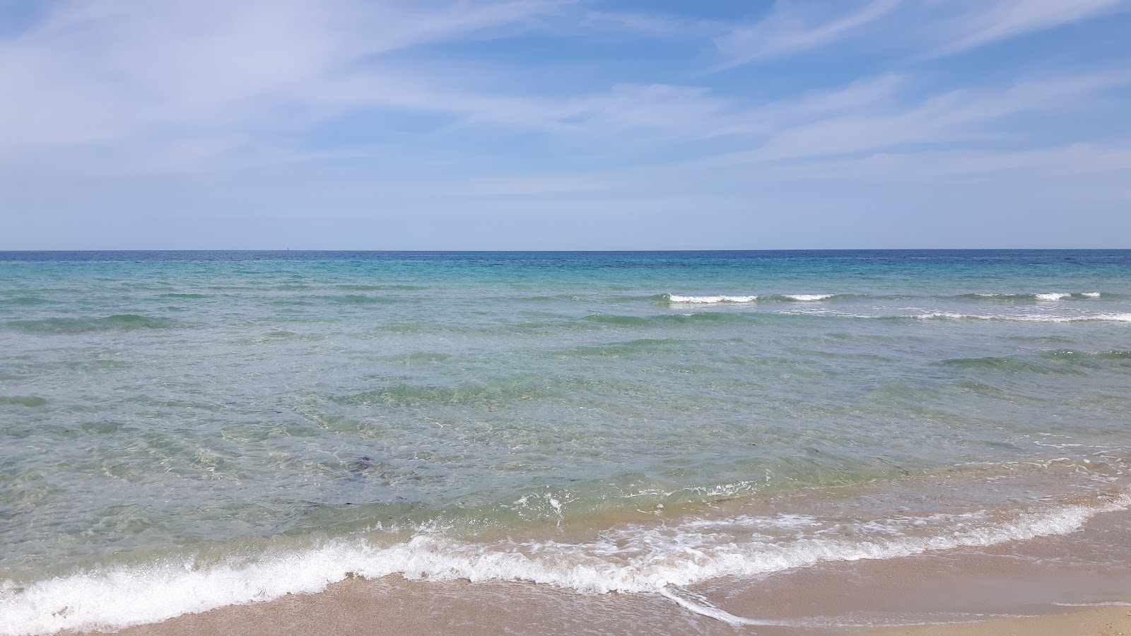 Fotografie cu Spiaggia di Rosa Marina - locul popular printre cunoscătorii de relaxare