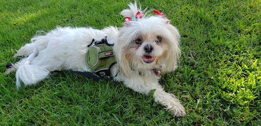 Pet Supply Store «PetSmart», reviews and photos, 2828 Campus Pkwy, Riverside, CA 92507, USA