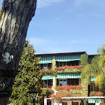 Photo n°1 de l'avis de Colmagica. fait le 17/07/2017 à 15:49 sur le  Augustus Hotel & Resort à Forte dei Marmi