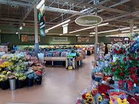 Star Market - Photo 8 - Car repair in Dorchester, MA, Boston