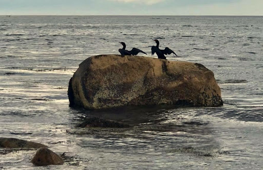 Tourist Attraction «Scituate Lighthouse», reviews and photos, 99 Lighthouse Rd, Scituate, MA 02066, USA