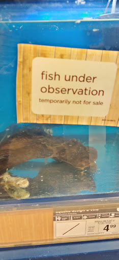 Pet Supply Store «Petco Animal Supplies», reviews and photos, 190 Quality Dr, Hooksett, NH 03106, USA