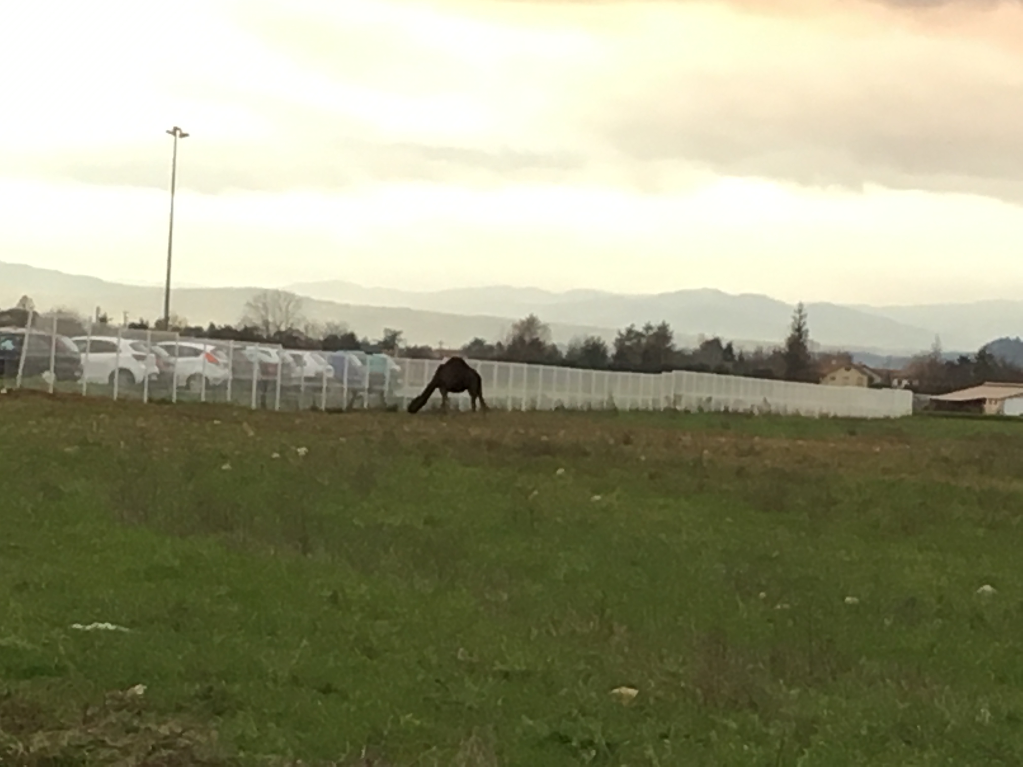 Photo n° 1 de l'avis de Florin.i fait le 11/12/2019 à 18:24