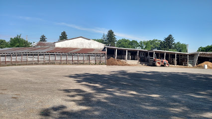 Farmerstown Livestock Auction