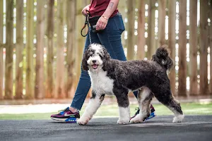 Revival Dog Training - West University image