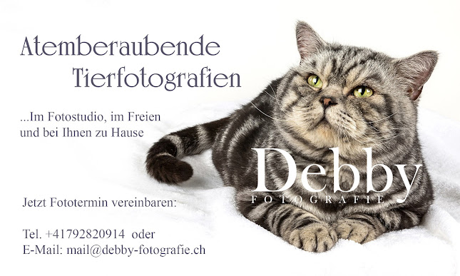 Debby Fotografie GmbH-Fotografin mit Fotostudio in Wetzikon - Robenhausen - Fotograf