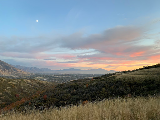 Bicycle Store «Trek Bicycle Salt Lake City Downtown», reviews and photos, 247 S 500 E, Salt Lake City, UT 84102, USA