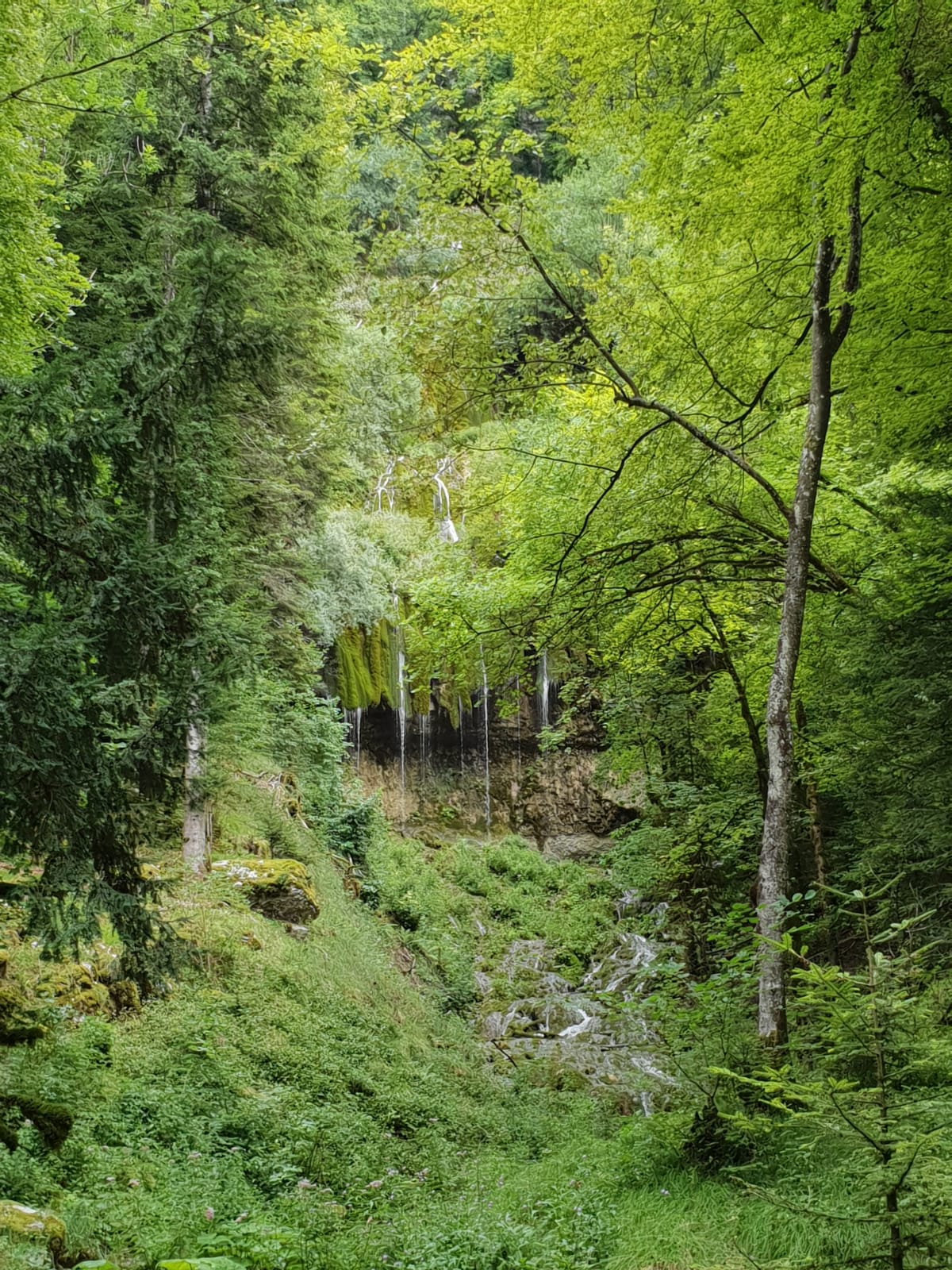 Photo n° 9 de l'avis de totof.h fait le 22/08/2019 à 14:27