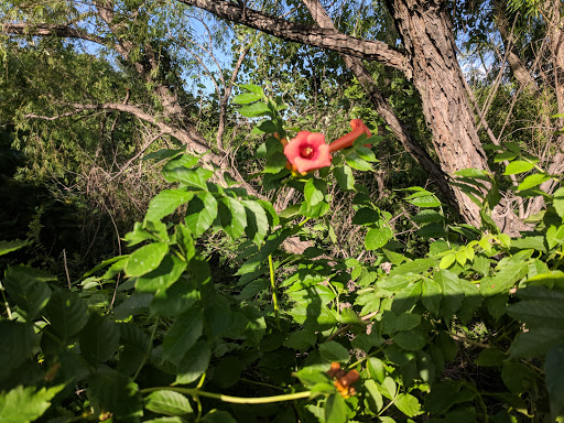 Water Park «Paradise Springs Aquatic Park», reviews and photos, 1501 Gaylord Trail, Grapevine, TX 76051, USA