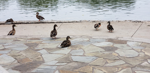 Museum «Washington County Museum of Fine Arts», reviews and photos, 401 Museum Dr, Hagerstown, MD 21741, USA