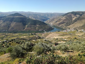 Douro First Tours