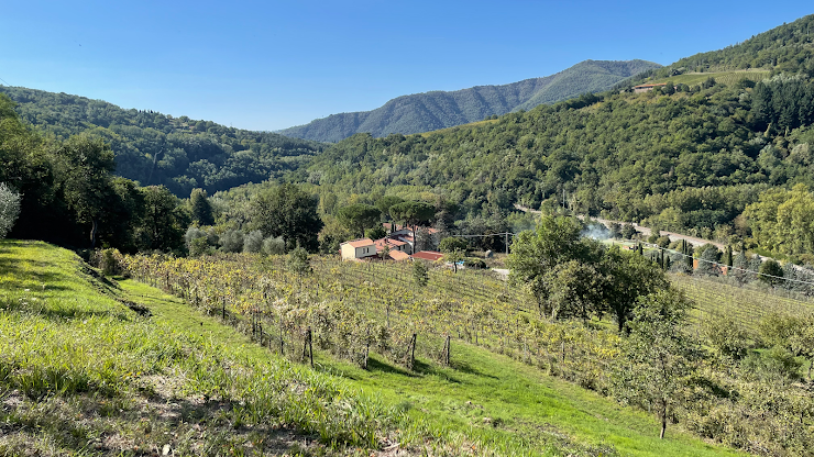 Photo Appartamento vacanze Il Poggiolo ai Casini 50068 Rufina