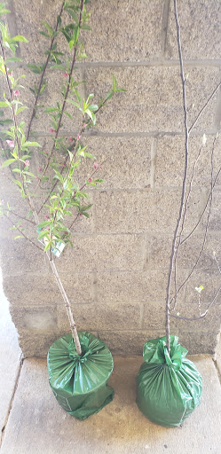 Grocery Store «Food Lion», reviews and photos, 304 S Broadway, Portland, TN 37148, USA