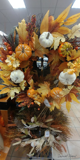 Clothing Store «Bealls Department Store», reviews and photos, 7101 FL-54, New Port Richey, FL 34653, USA