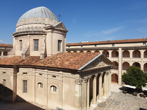 Musée d'archéologie méditerranéenne de la Ville de Marseille