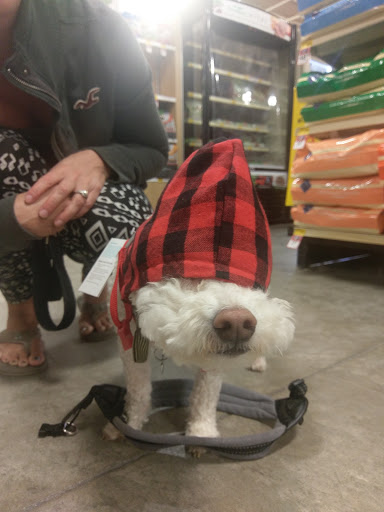 Pet Supply Store «PetSmart», reviews and photos, 1034 N El Camino Real, Encinitas, CA 92024, USA