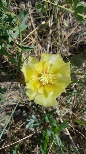 Park «Rudy Park», reviews and photos, 5360 Cracker Barrel Cir, Colorado Springs, CO 80917, USA