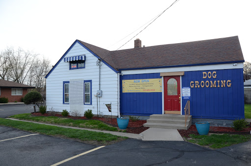 Pet Groomer «Blue Ribbon Dog Grooming LLC Anderson», reviews and photos, 5038 S Scatterfield Rd, Anderson, IN 46013, USA