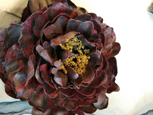 Museum «Orlando Museum of Art», reviews and photos, 2416 N Mills Ave, Orlando, FL 32803, USA