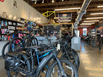 Phat Tire Bike Shop - Photo 9 - Car repair in Springdale, AR, Fayetteville