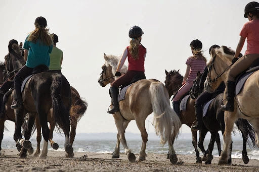 Horse riding in Phuket