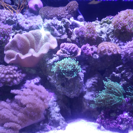 Pet Supply Store «Valencia Pet», reviews and photos, 28128 Newhall Ranch Rd, Valencia, CA 91355, USA