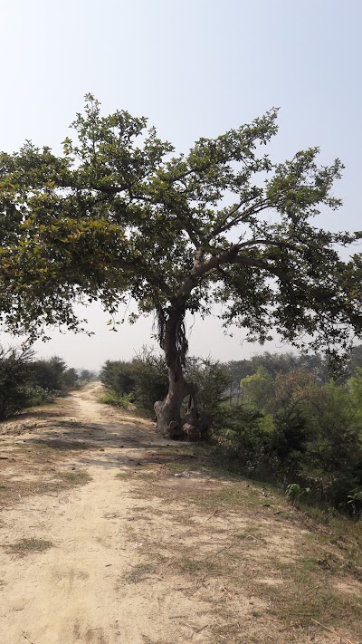 Photos of Jaleswor Mahadev Temple