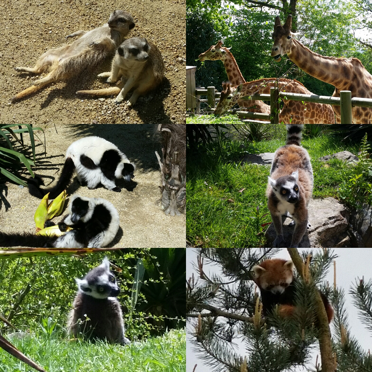 Photo n° 2 de l'avis de Eilsel. fait le 01/05/2018 à 19:05