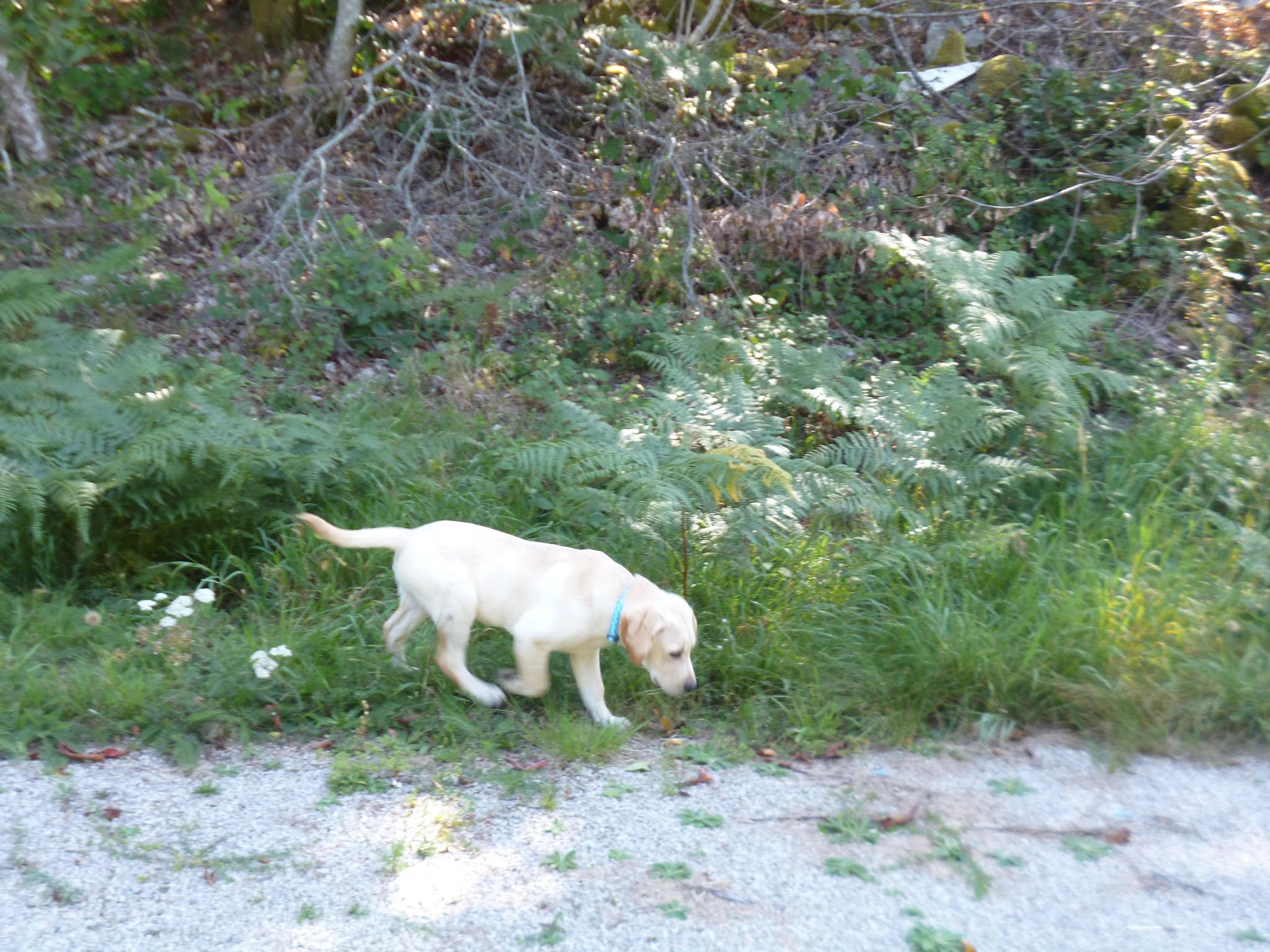 Photo n° 2 de l'avis de Corinne.o fait le 27/09/2018 à 08:15