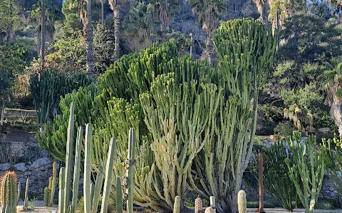 Jardins de Mossèn Costa i Llobera image