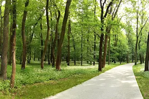 Park Zielona w Dąbrowie Górniczej image