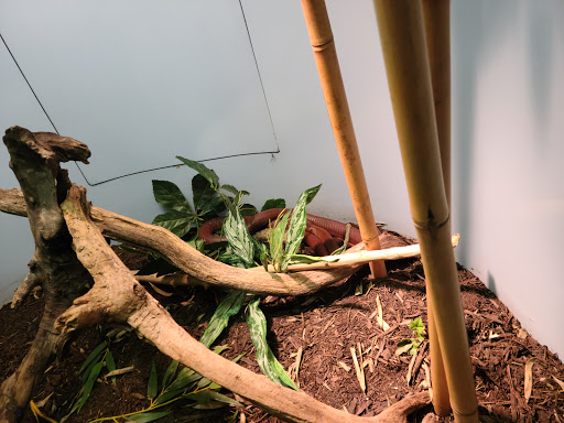 Science Museum «Museum of the Rockies», reviews and photos, 600 W Kagy Blvd, Bozeman, MT 59717, USA