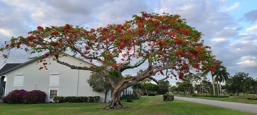 Country Club «Countryside Golf & Country Club», reviews and photos, 600 Countryside Dr, Naples, FL 34104, USA