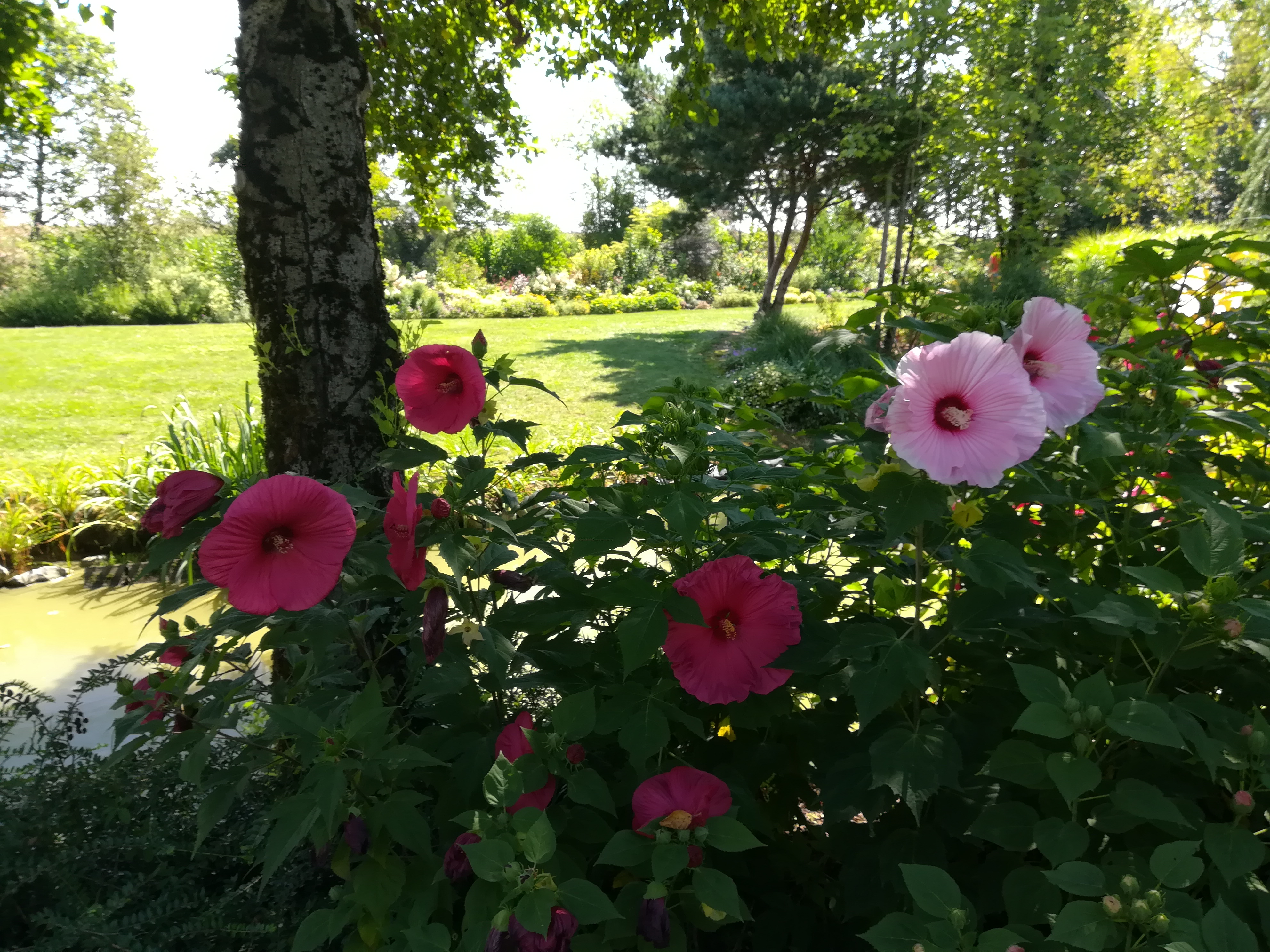Photo n° 5 de l'avis de Yves-Eric.e fait le 04/07/2021 à 18:34