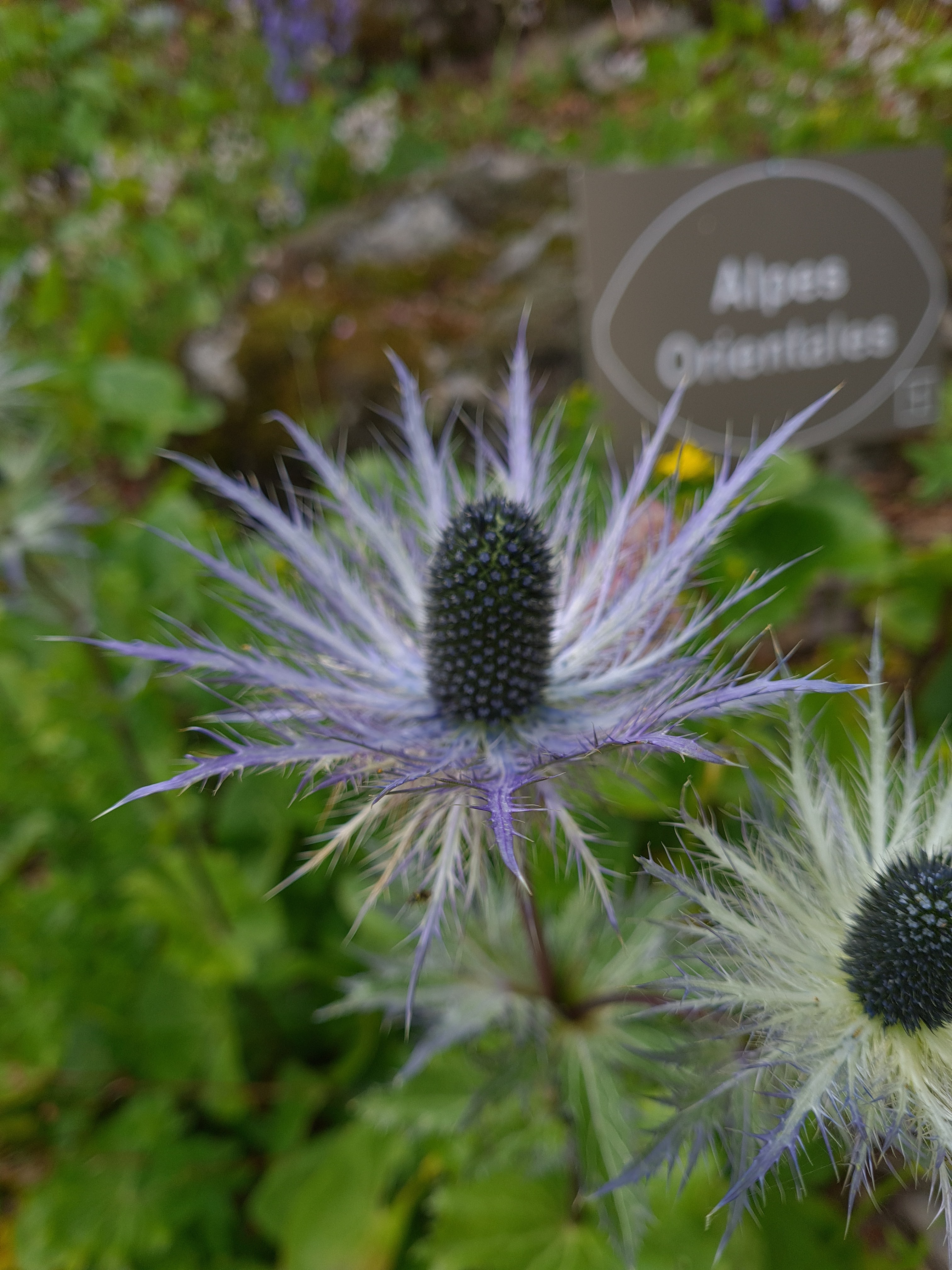 Photo n° 4 de l'avis de Mikael.e fait le 27/07/2020 à 14:32