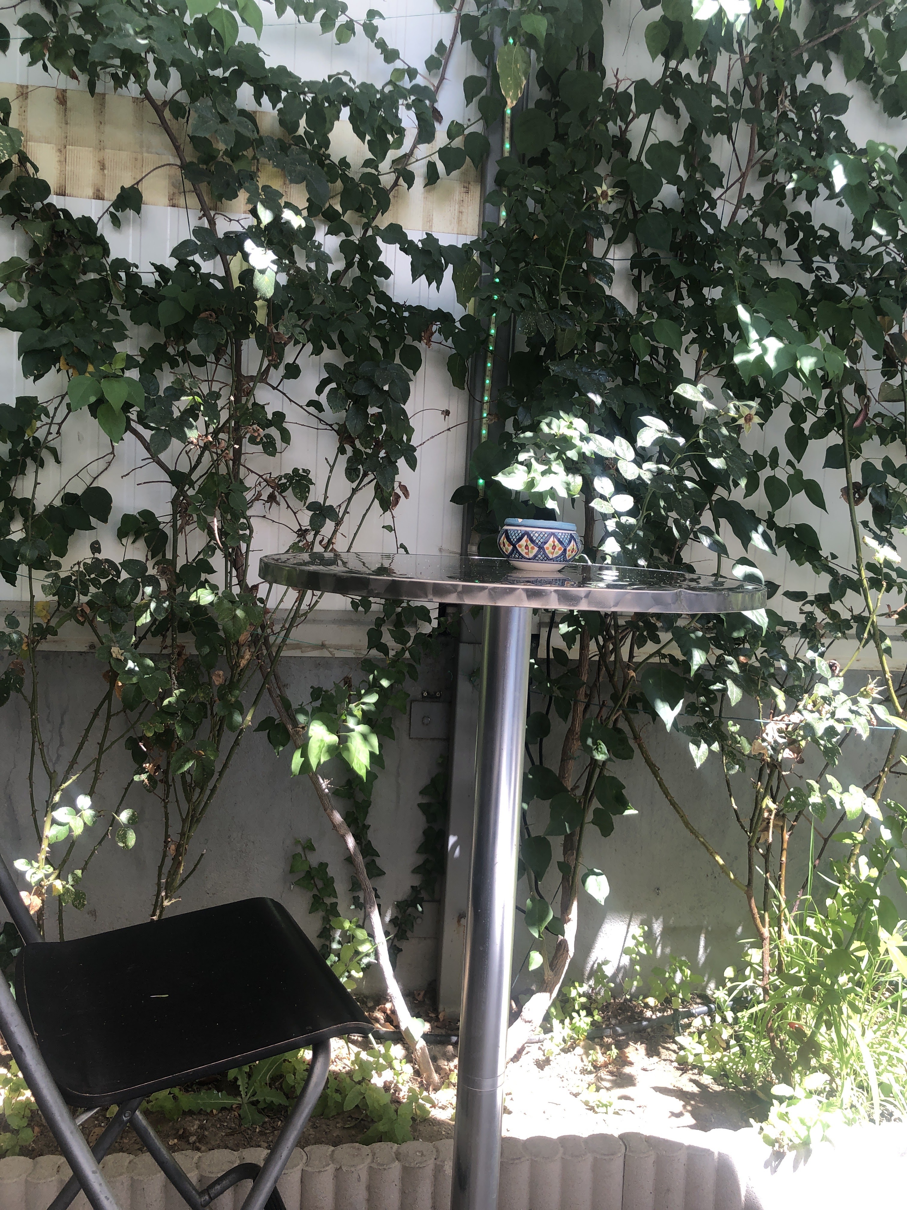 Photo n° 5 de l'avis de L'équipe.o fait le 27/07/2021 à 10:58