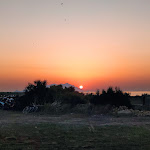 Photo n°1 de l'avis de Flavio.r fait le 24/08/2021 à 09:31 sur le  Cibo Chiacchiere e Vino à Favignana