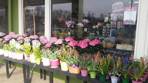 Florist «Johnston the Florist», reviews and photos, 4307 Northern Pike, Monroeville, PA 15146, USA