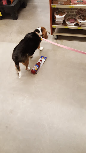 Pet Supply Store «PetSmart», reviews and photos, 650 Commerce Blvd, Scranton, PA 18519, USA