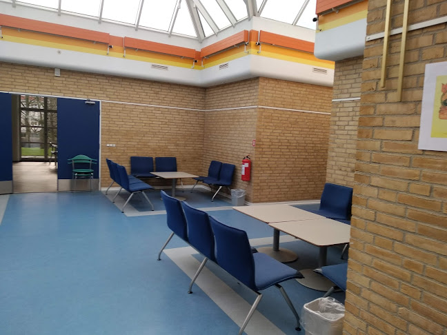 Deutsches Gymnasium für Nordschleswig - Skole